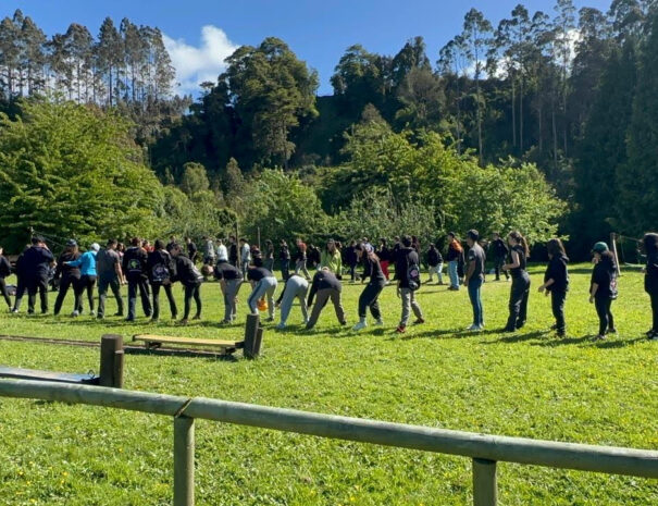 Circuito DE DESAFÍO(2)