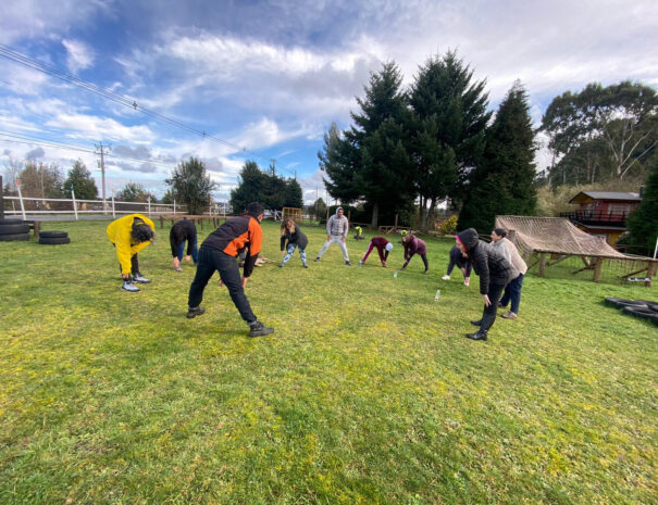 vf Circuito de desafio1